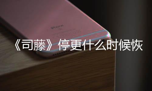 播出 大藤停更恢复更新结局揭秘司什么时候时间