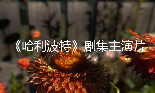 百万第特主演片酬曝光利波二季哈剧集就成富翁