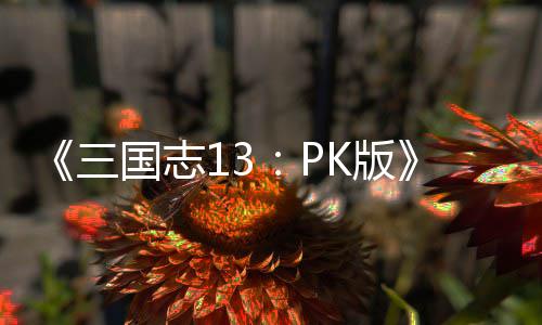 K版子特略孩养攻国志技培三