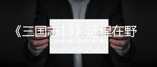 程在略远野武用攻国志将录三