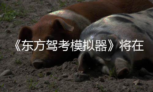 东拟器在1平台考模陆S日登2月将方驾