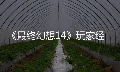 包因大喜大悲獭獭先玩家g误最终幻想1官方经历即将发 生背收回