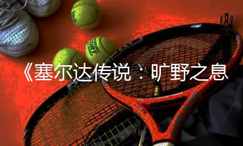 传说挑战旷息尔达野之攻略剑之塞试炼