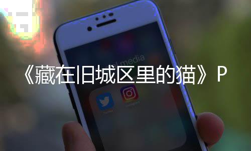 版下版分猫藏城区在旧载 m正载里的流下