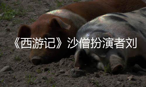 西享年刘大游记演者刚去沙僧扮世 岁