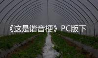 《这是谐音梗》PC版下载 Steam正版分流下载