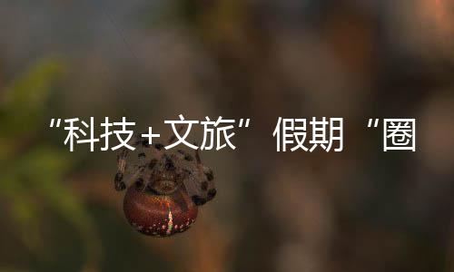 场体验文旅座沉鹏城科客 ，一国游技假浸式期圈粉全赛博