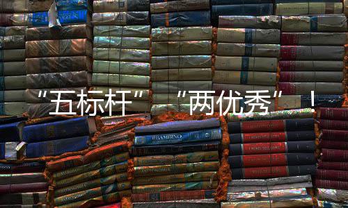 标杆百团在五中资委中创科考核秀行动两优院国国务改建集佳绩双