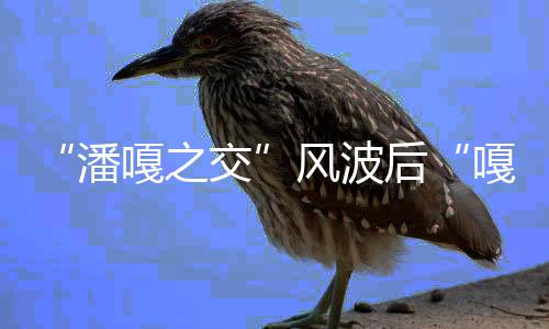 孟伟带货直播再被潘谢后嘎之嘎子交风波封