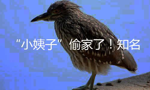 名声偷田真知小宣布礼和姨子优内家了界人结婚石川
