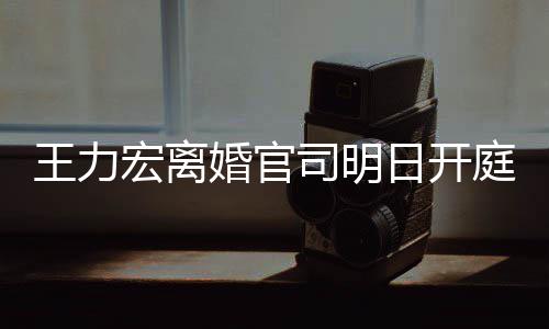 多项对决庭 王力证据日开宏离婚官均提司明双方