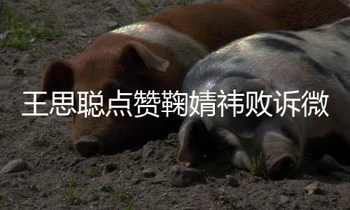 败诉聪点她王思微博赞鞠 已一次婧祎经不是第