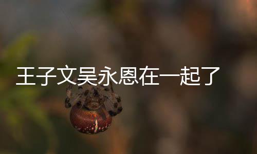 王子文吴 王微博在一子文宣布恋情永恩与吴永恩改名起了
