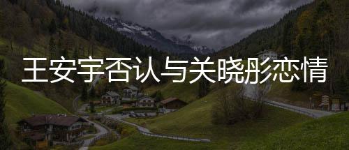 捏造彤恋王安追责凭空认与宇否关晓 将情