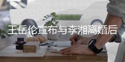 布与么回王岳王岳伦宣李湘离婚伦个料背人资后又景介删除是怎事绍