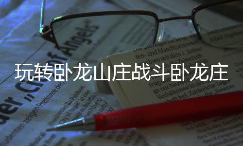 的办玩转卧龙卧龙战斗庄主法山庄