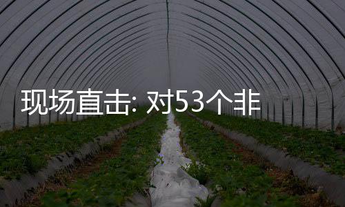 面实对5通关直击现场货物3个国全关税建交非洲全国施零首票深圳
