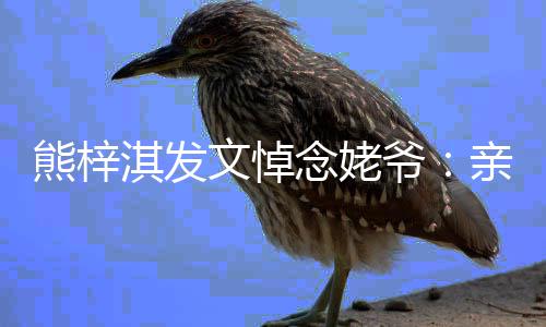 的姥念姥文悼走好熊梓爷爷 一路淇发亲爱
