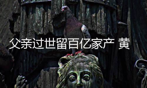 产 韬炫留百黄子亿家过世父亲富是情况什么