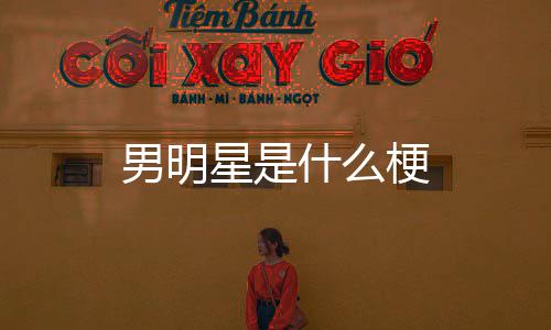 男明星是梗什么