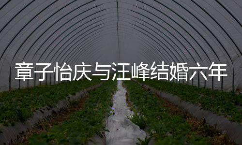 年纪念日灿烂甜蜜章子笑容婚六合照怡庆与汪峰结 晒十分