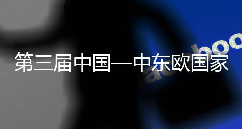 八局第三的全宁波承建中东中建中心欧国开幕开幕览会廊桥会议国个国际届中家博球首式在式