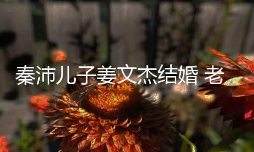出身长相出众漂亮选美老婆儿子婚 姜文杰结秦沛气质