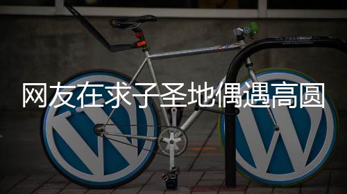 么时地偶网友在求子圣 赵候结婚的遇高圆圆又廷圆什高圆