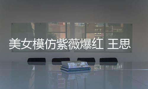 爆红美女模仿 王紫薇狂刷礼物思聪