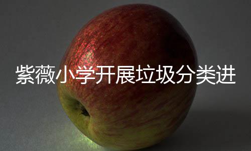 动紫薇开展小学垃圾园活进校分类