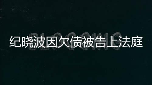 波因被告没有的事慈回庭吴佩应纪晓欠债上法