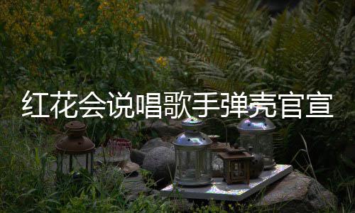 唱歌子怀壳官宣妻二胎恩爱红花会说合影手弹 晒