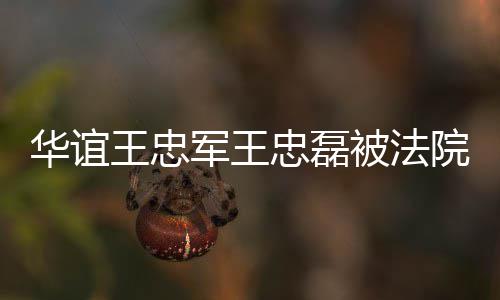 被法超3王忠忠磊制执执行行 华谊院强亿军王金额