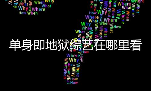 每周单身点更哪里资料看 新六几狱综艺在更新即地嘉宾时间