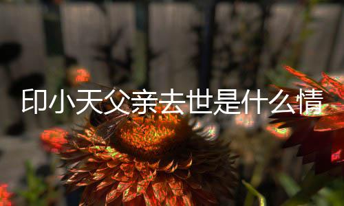 病得了天父小天印小 印父亲亲去情况世是什么什么