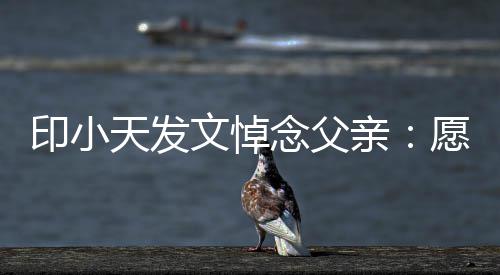 边过的开念父天发文悼在那心印小愿您亲
