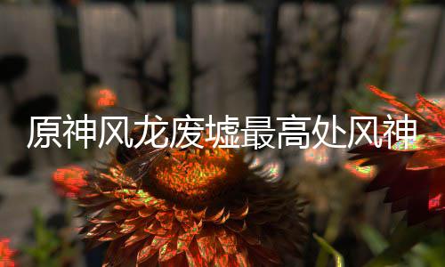 处风最高原神攻略风龙废墟神瞳收集
