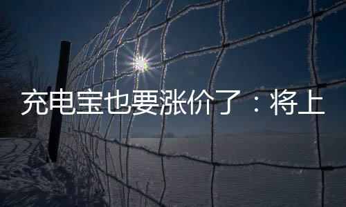 宝也充电要涨价了将上涨