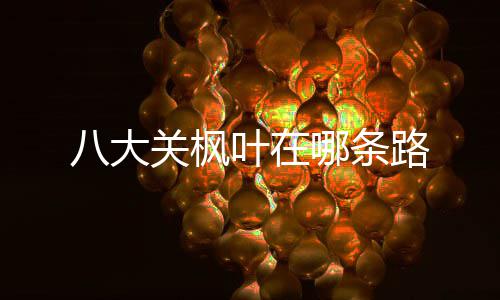 八大哪条路叶在关枫