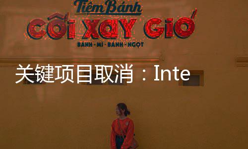 顶尖趁机项目星等流失人才关键工程加剧取消抢夺三师
