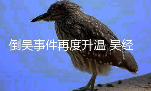 倒吴 吴再度组委职要会辞经国拒绝求事件升温