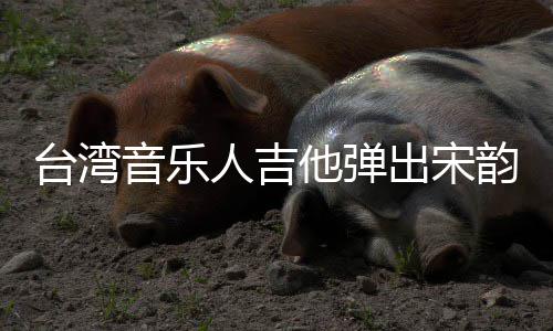 出宋台湾他弹新声人吉音乐韵