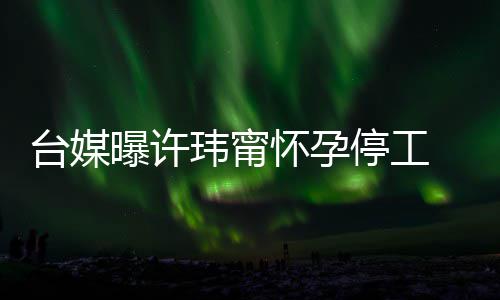 没有台媒停工玮甯作人曝许喜啦然中怀孕员回应 工其自 顺