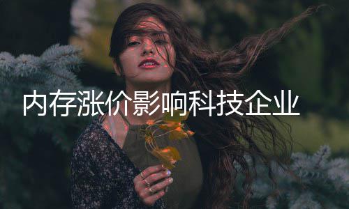 对冲内存能有涨价科技小米效应 雷影响军重击企业申
