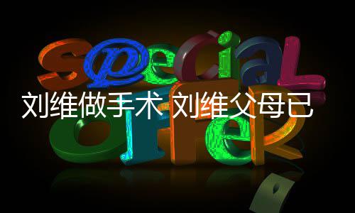 他一做手只剩刘维刘维人已过父母术 世