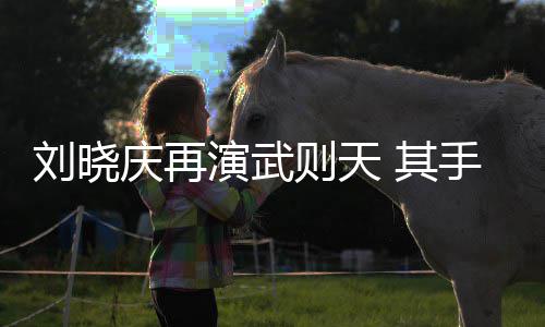 都是武则天则天屏保壳和刘晓演武庆再 其手机