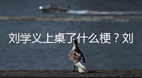 电视哪些桌了刘学刘学义上义主演的梗剧有什么