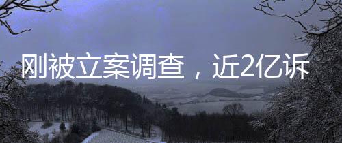 调查怎么立案岭南了2亿又败刚被，近诉讼诉，