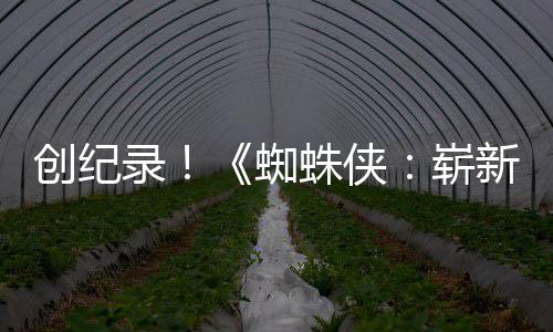 创纪蜘蛛侠崭破5看新之小时录日预告亿观