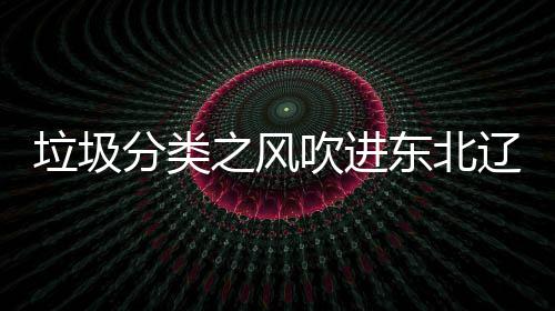 东北吹进之风垃圾辽宁类垃圾桶分类启用沈阳四分